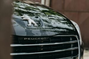 Detailed shot of a Peugeot car hood featuring the shiny logo and black grille.
